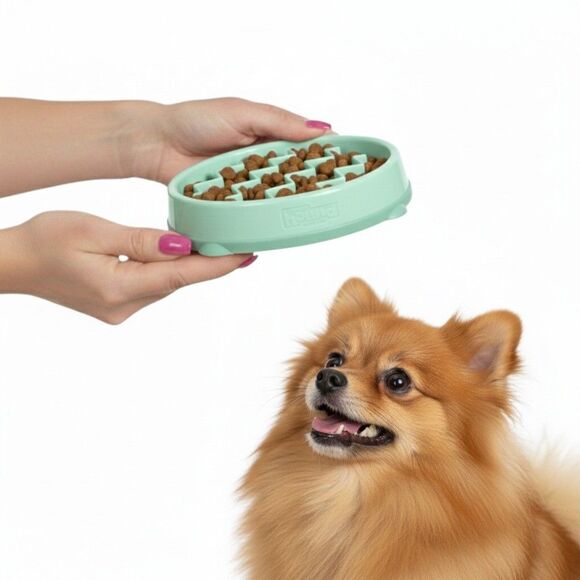 Outward Hound Slo Bowl SMALL Mint Green Puppy Slow Feeder Dog Pomeranian - Picture 2 of 9